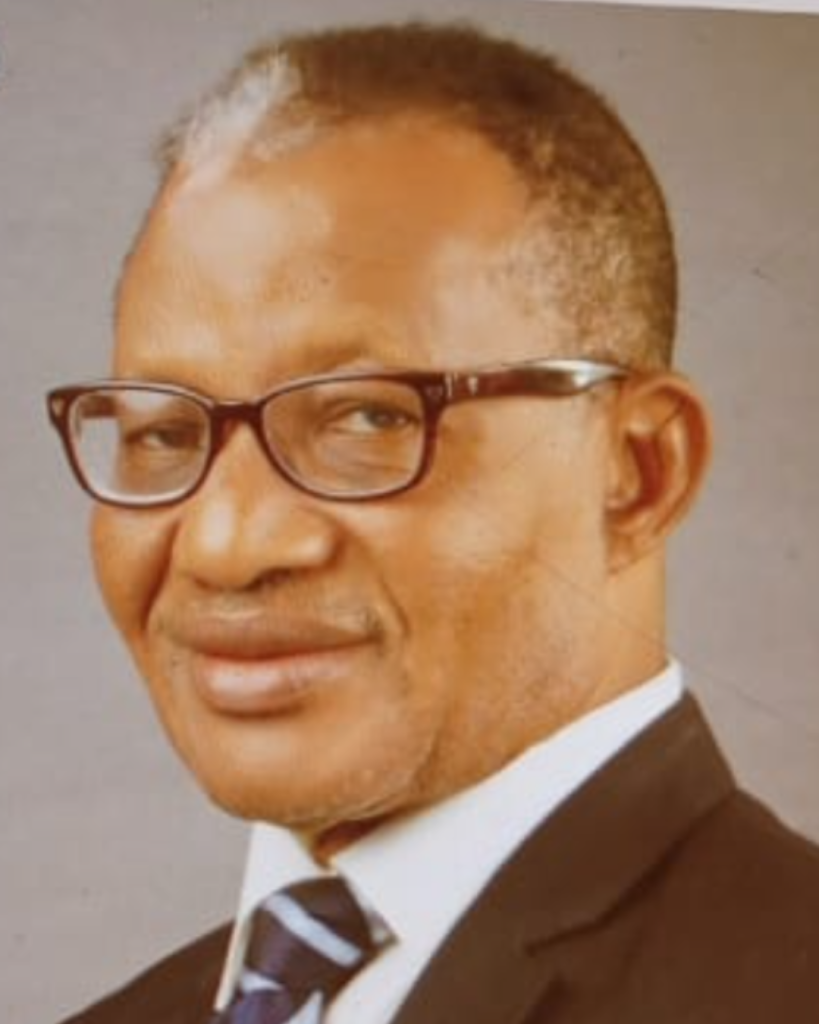 PROFESSOR F.N. NDUBUISI