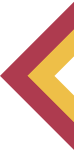 Citadel School of Government